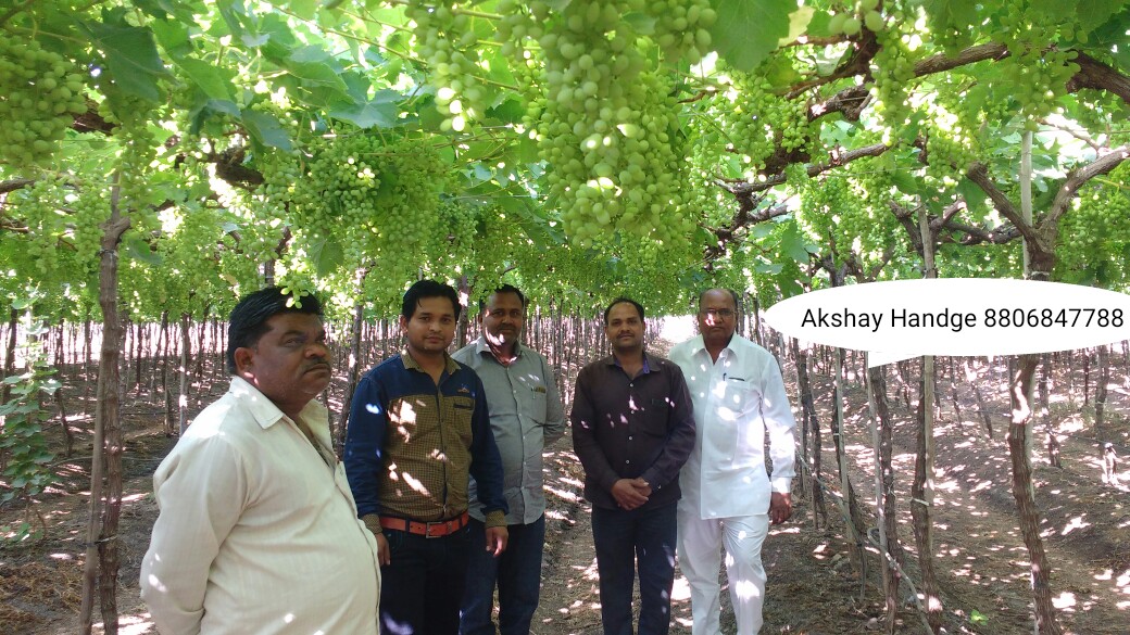 Green Planet Bio Products Nashik Mobile  shop Nashik